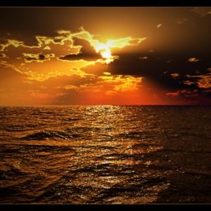 Meet your Posher, Jestine